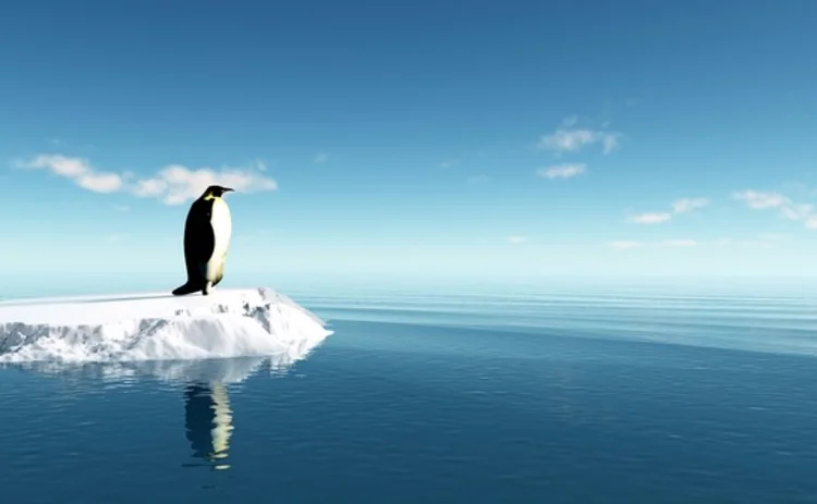 penguin-on-ice