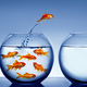 Photo showing a goldfish jumping from a crowded bowl to an empty one