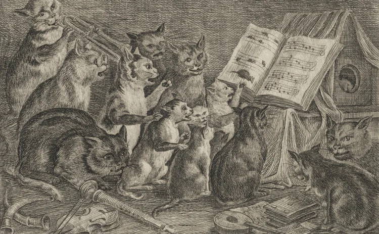 Concert of Cats illustration by Rudolph Ackermann